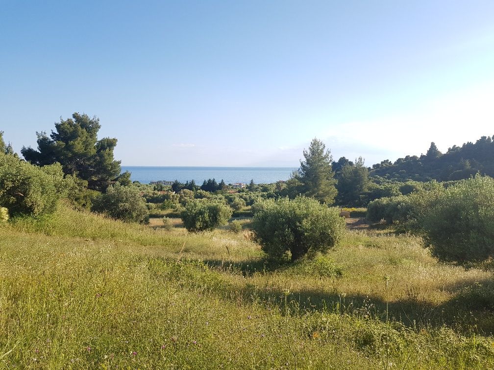 Land in Kassandra, Greece, 4 500 sq.m - picture 1