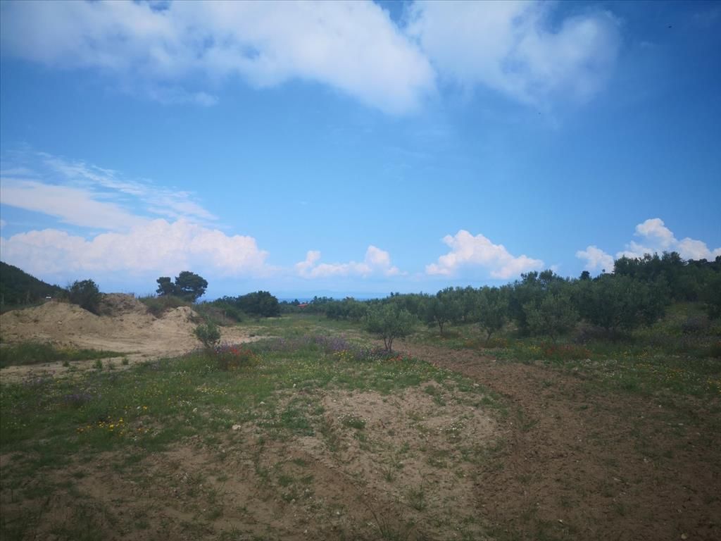 Land in Kassandra, Greece, 18 500 sq.m - picture 1