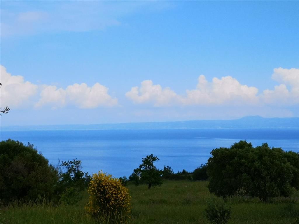 Land in Kassandra, Greece, 11 450 sq.m - picture 1