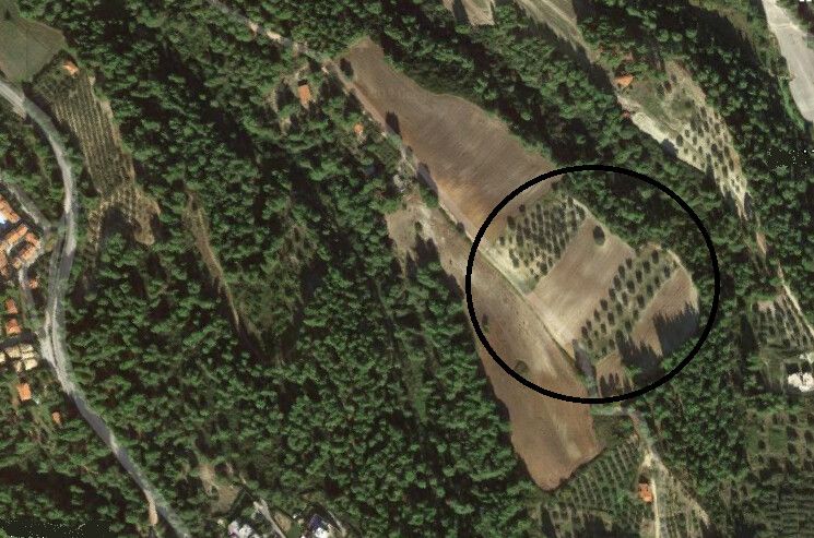Land in Kassandra, Greece, 34 000 sq.m - picture 1