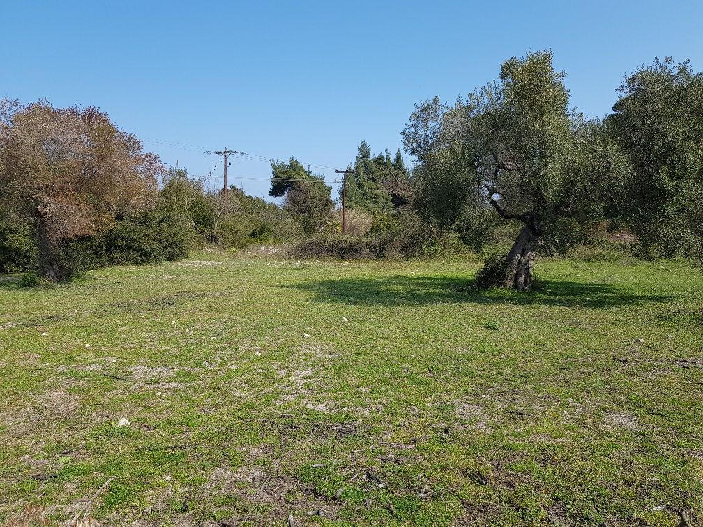 Land in Chalkidiki, Greece, 4 300 sq.m - picture 1