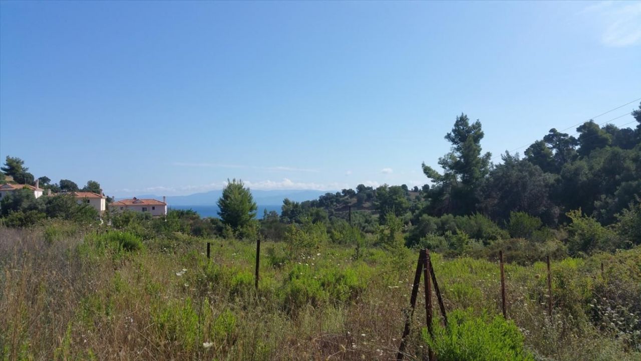 Land in Sithonia, Greece, 9 000 sq.m - picture 1
