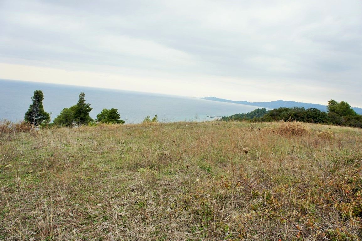 Land in Kassandra, Greece, 55 000 sq.m - picture 1