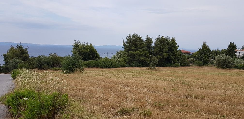 Land in Chalkidiki, Greece, 9 500 sq.m - picture 1