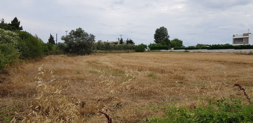 Grundstück in Chalkidiki, Griechenland, 4 800 m2 - Foto 1