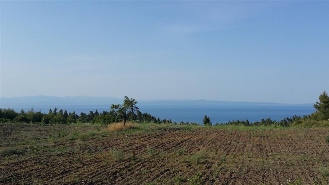 Land in Kassandra, Greece, 14 625 sq.m - picture 1