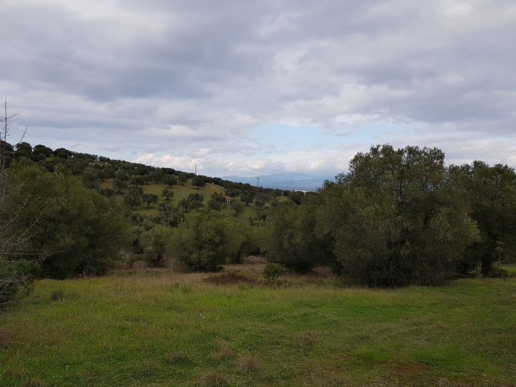 Land in Sithonia, Greece, 13 289 sq.m - picture 1