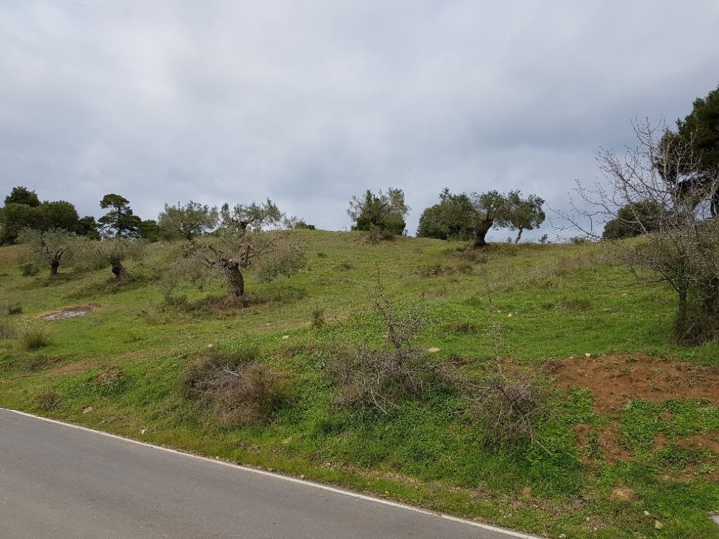 Land in Sithonia, Greece, 6 000 sq.m - picture 1