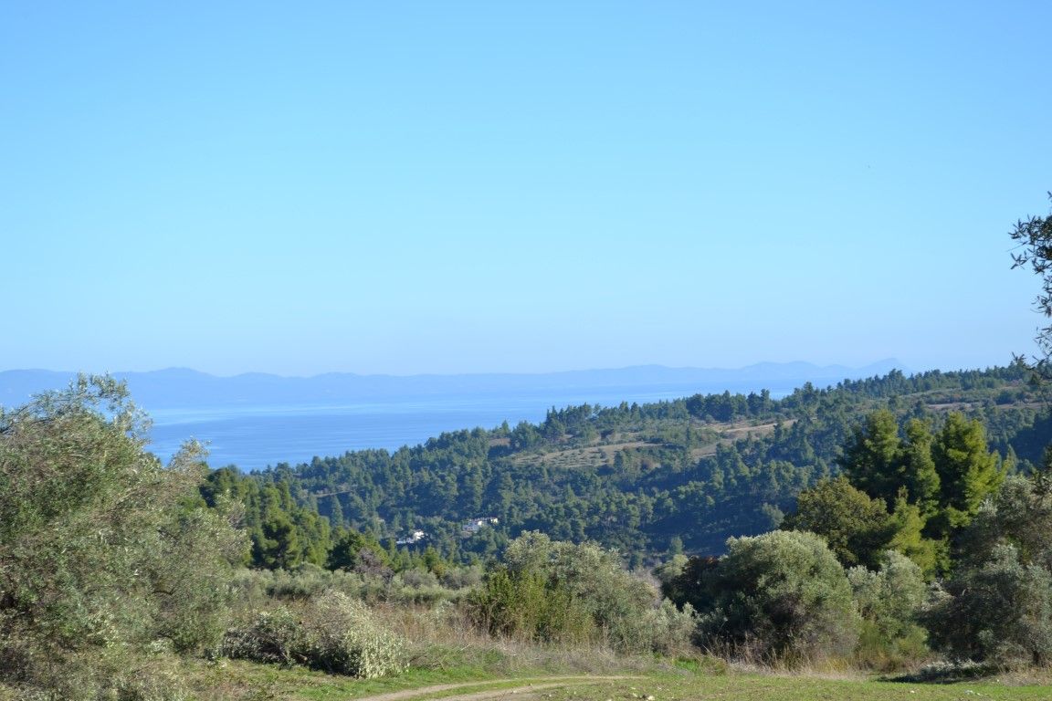 Land in Chalkidiki, Greece, 11 738 sq.m - picture 1