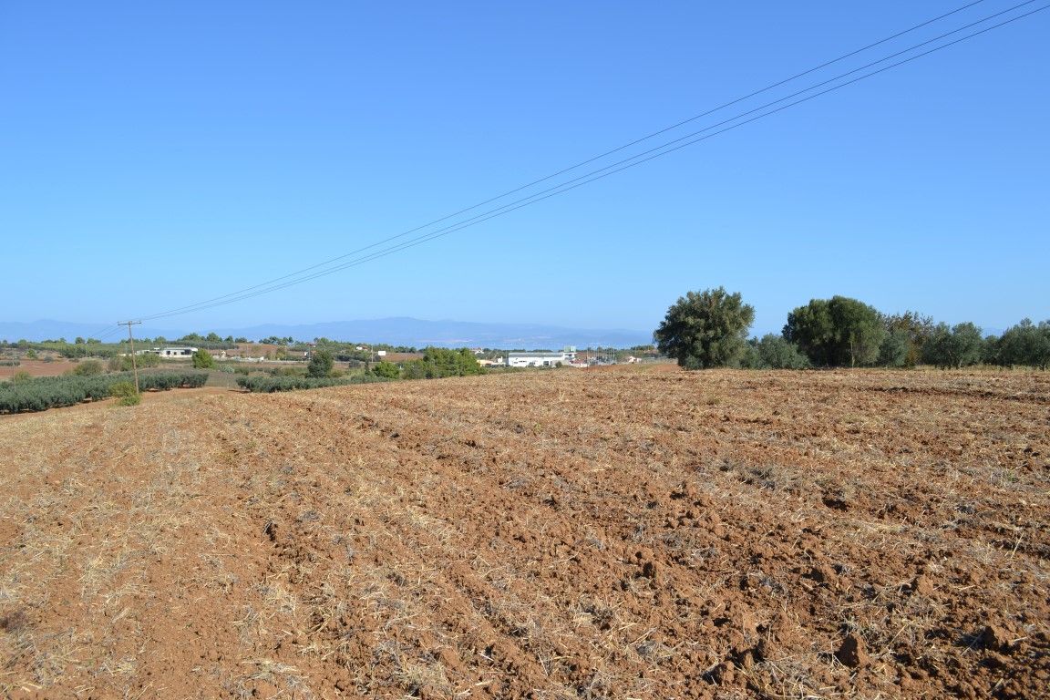 Land in Sani, Greece, 20 000 sq.m - picture 1