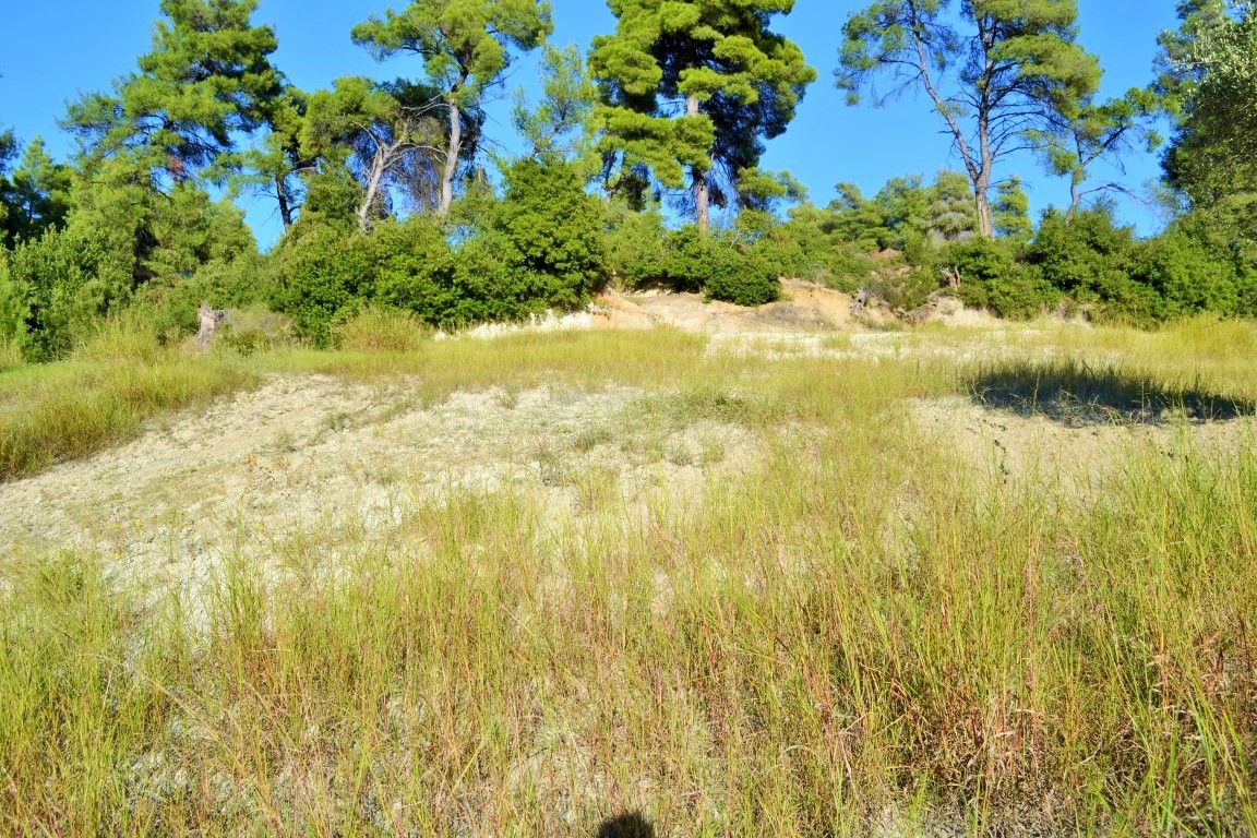 Land in Kassandra, Greece, 5 230 sq.m - picture 1