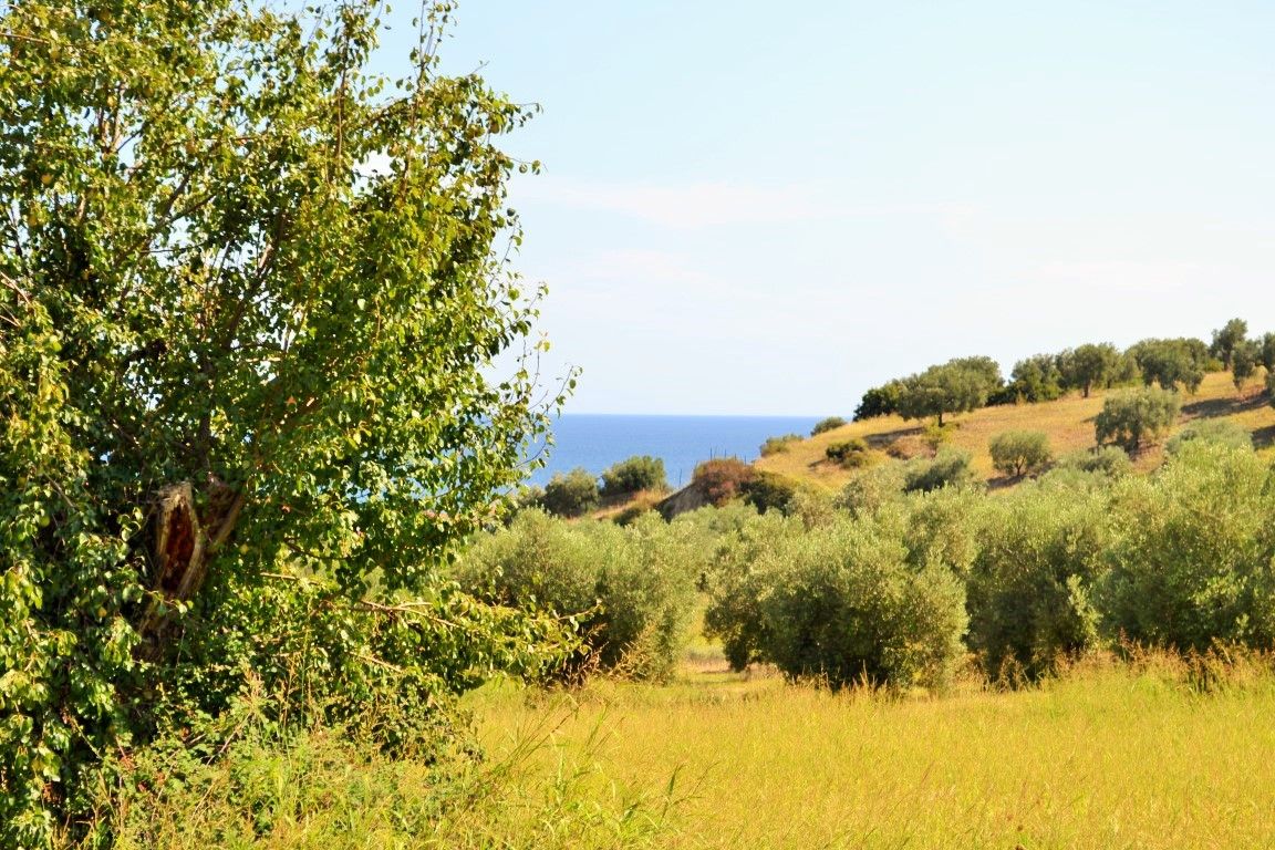 Land in Kassandra, Greece, 4 013 sq.m - picture 1
