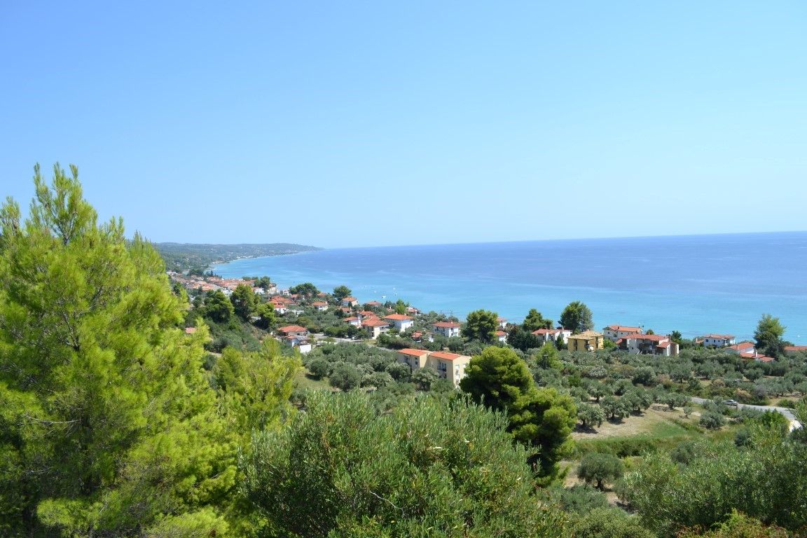 Land in Kassandra, Greece, 31 000 sq.m - picture 1