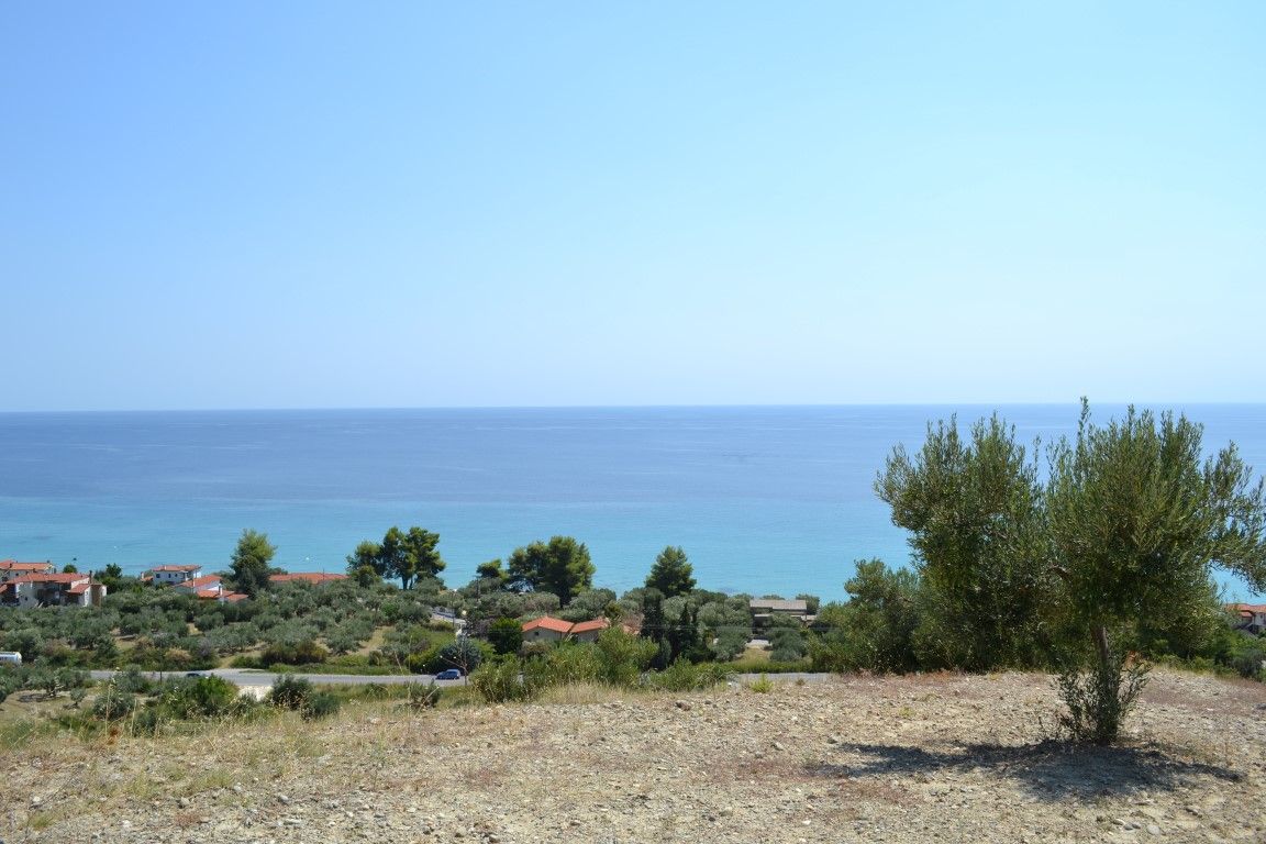 Land in Kassandra, Greece, 12 300 sq.m - picture 1