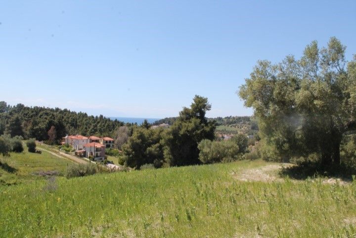 Land in Kassandra, Greece, 20 100 sq.m - picture 1