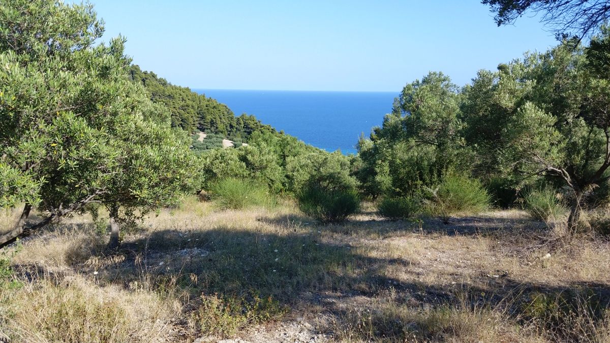 Land in Chalkidiki, Greece, 9 100 sq.m - picture 1