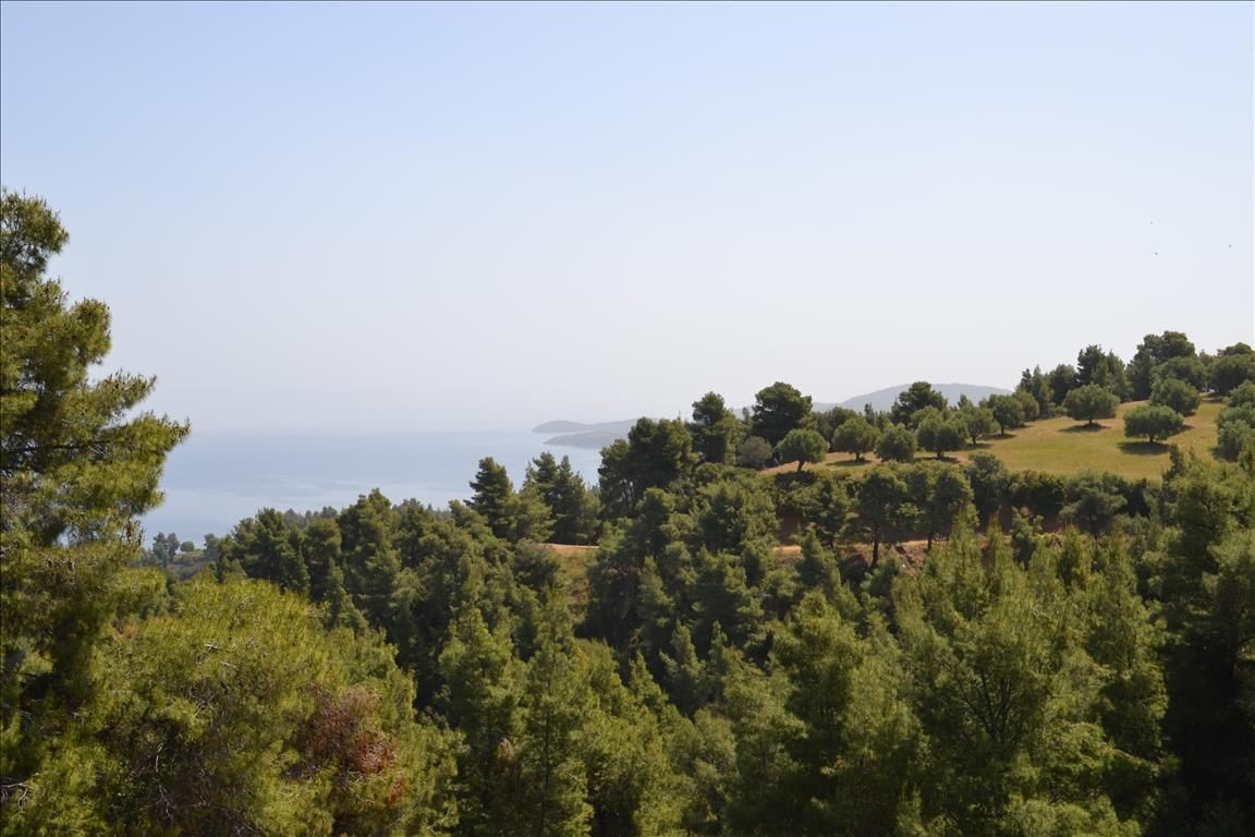 Grundstück in Sithonia, Griechenland, 4 650 m2 - Foto 1