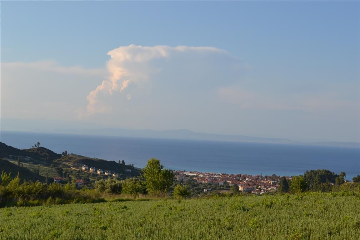 Land in Kassandra, Greece, 15 400 sq.m - picture 1