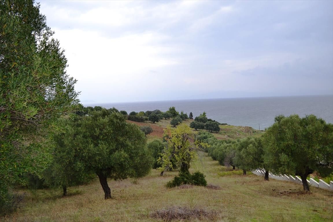 Land in Chalkidiki, Greece, 8 404 sq.m - picture 1