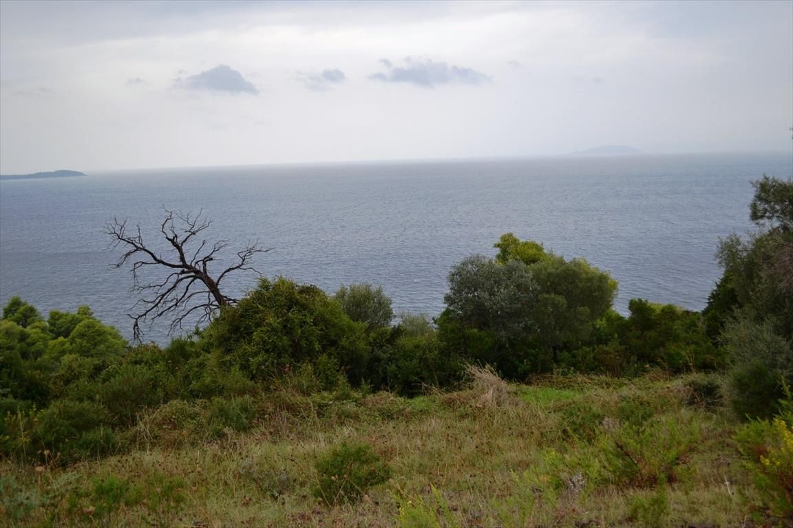 Land in Chalkidiki, Greece, 4 200 sq.m - picture 1