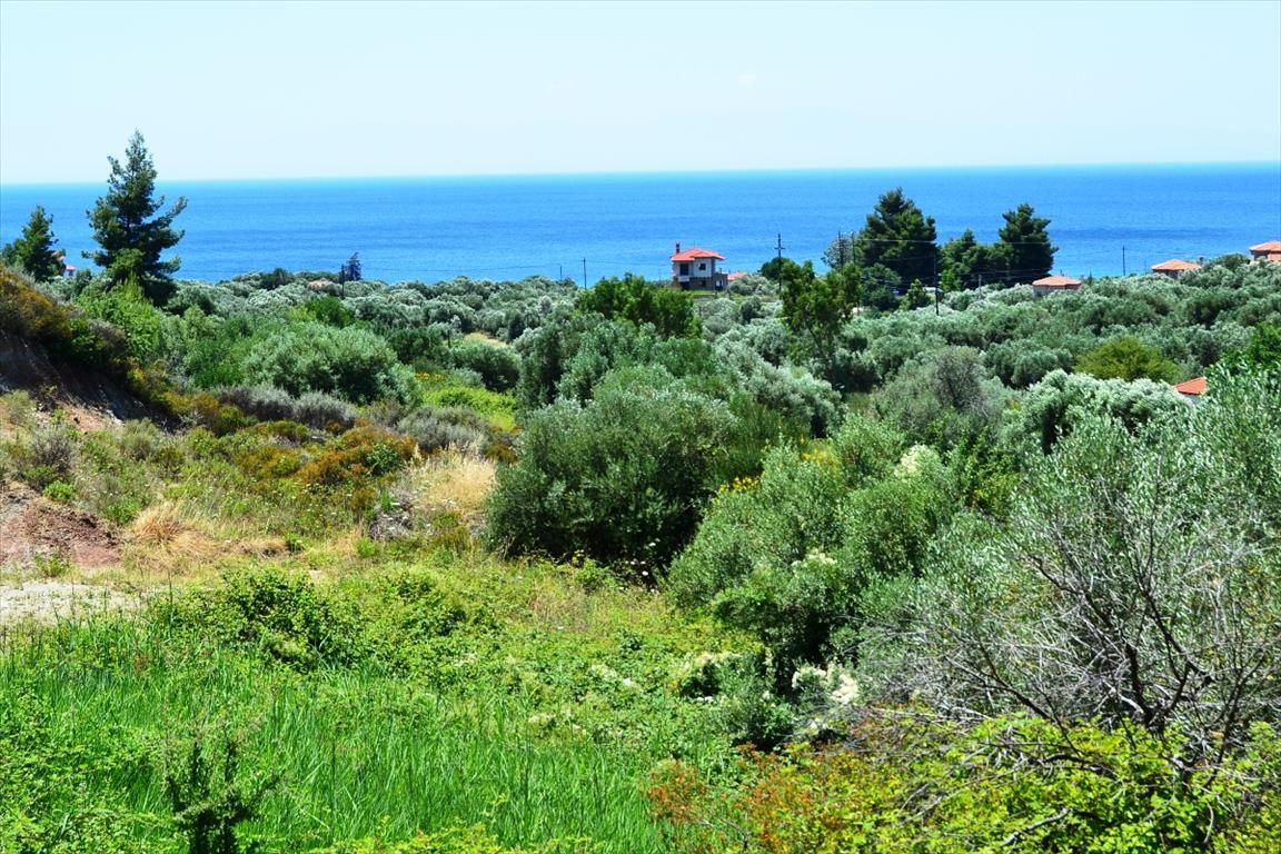 Grundstück in Kassandra, Griechenland, 8 000 m2 - Foto 1