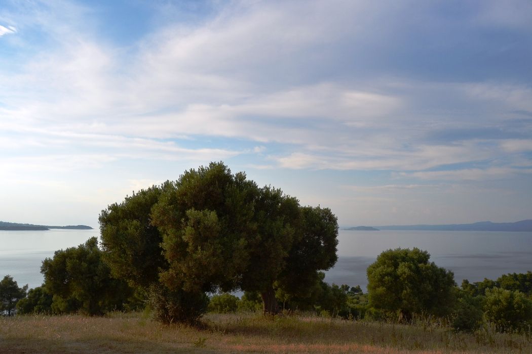 Land in Chalkidiki, Greece, 19 000 sq.m - picture 1