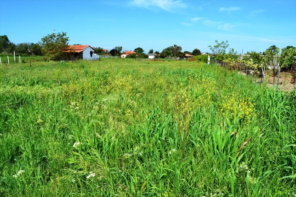 Land in Kassandra, Greece, 1 200 sq.m - picture 1