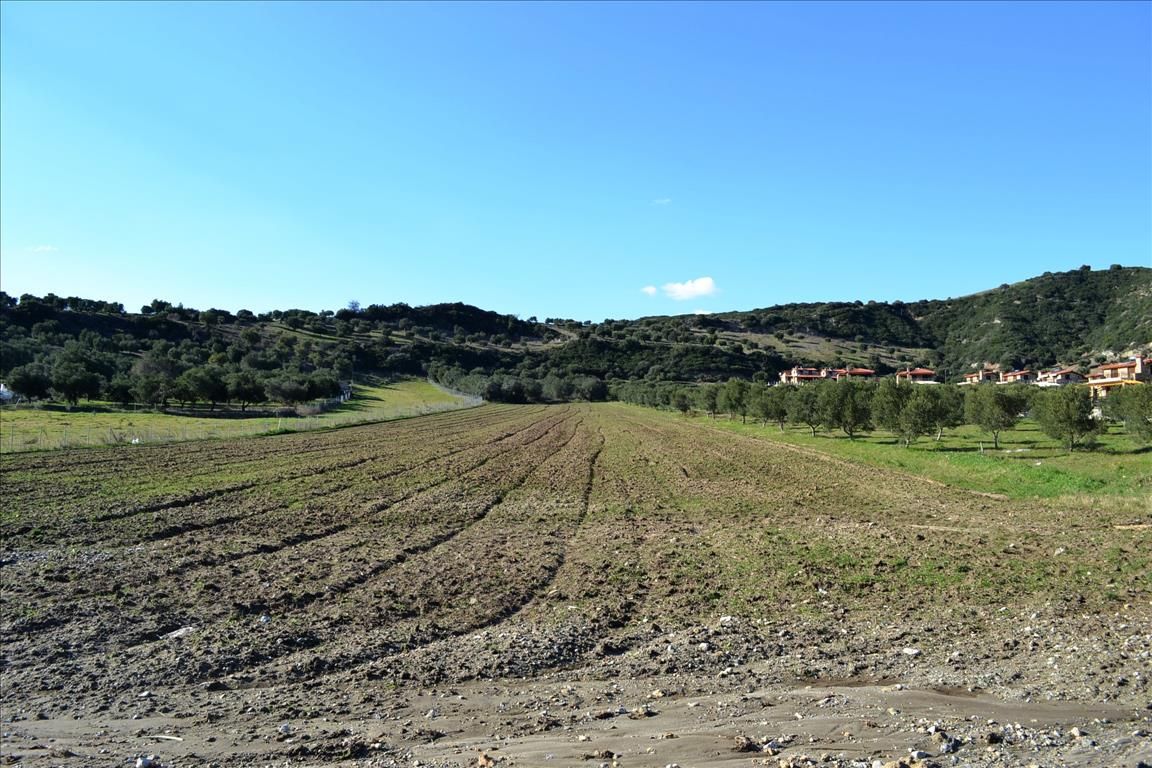 Land in Kassandra, Greece, 15 000 sq.m - picture 1