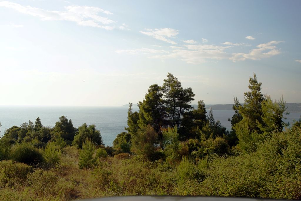 Land in Chalkidiki, Greece, 7 700 sq.m - picture 1