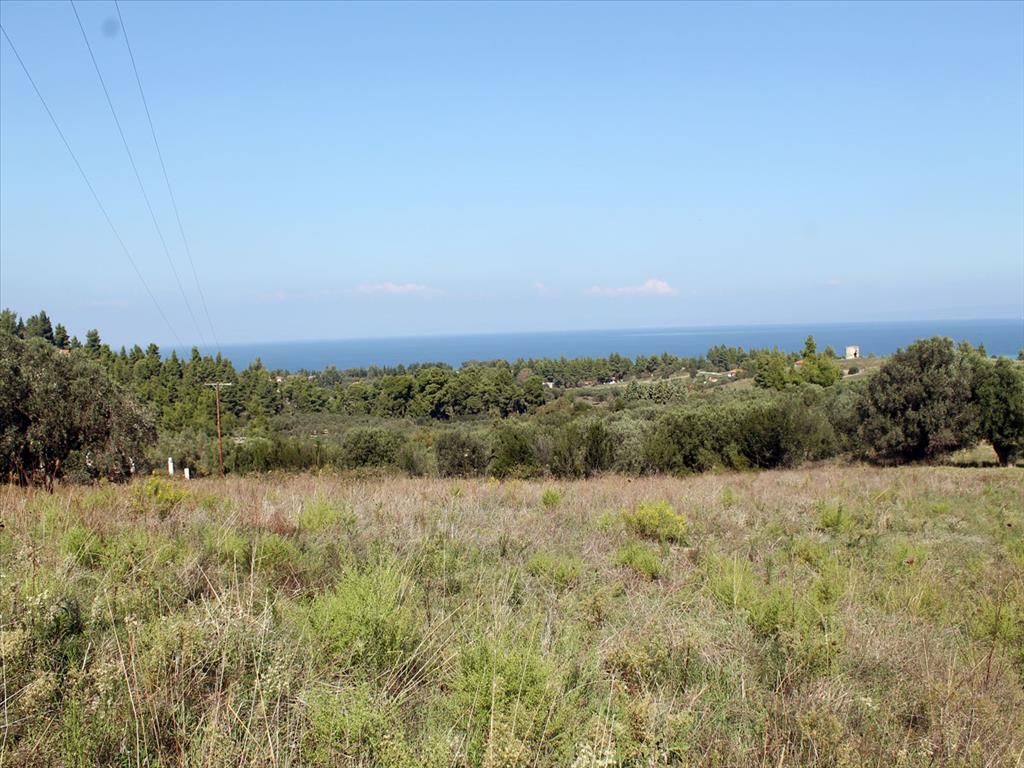 Land in Chalkidiki, Greece, 22 500 sq.m - picture 1
