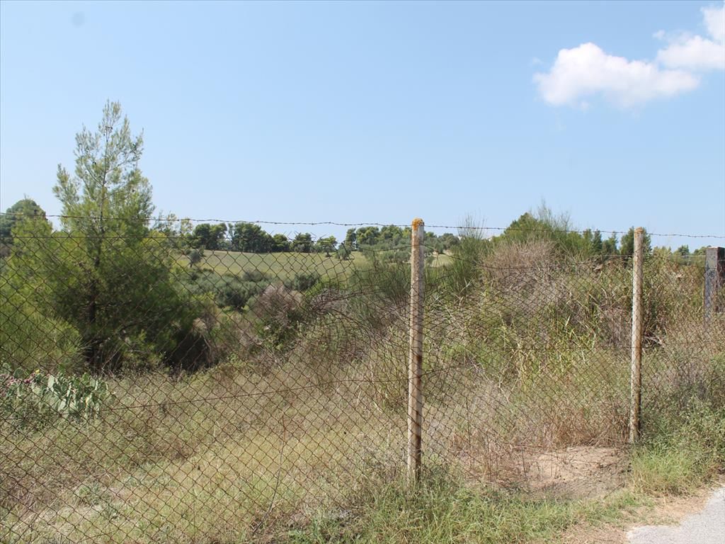 Land in Chalkidiki, Greece, 4 025 sq.m - picture 1