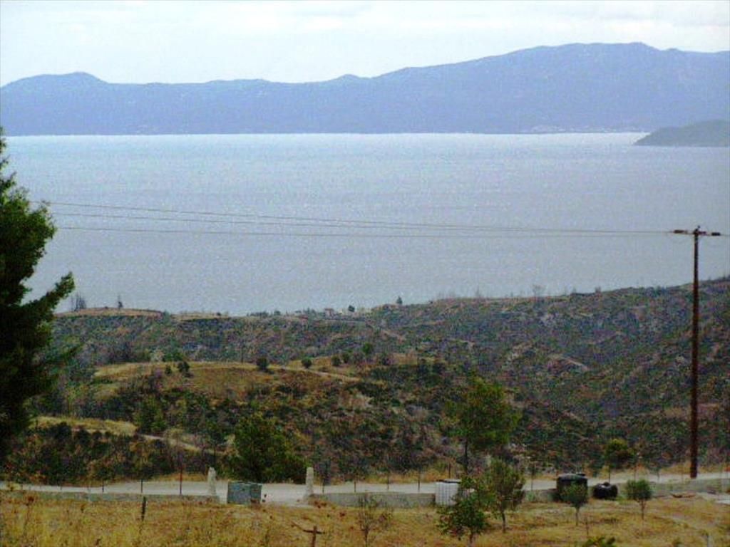 Land in Kassandra, Greece, 15 000 sq.m - picture 1