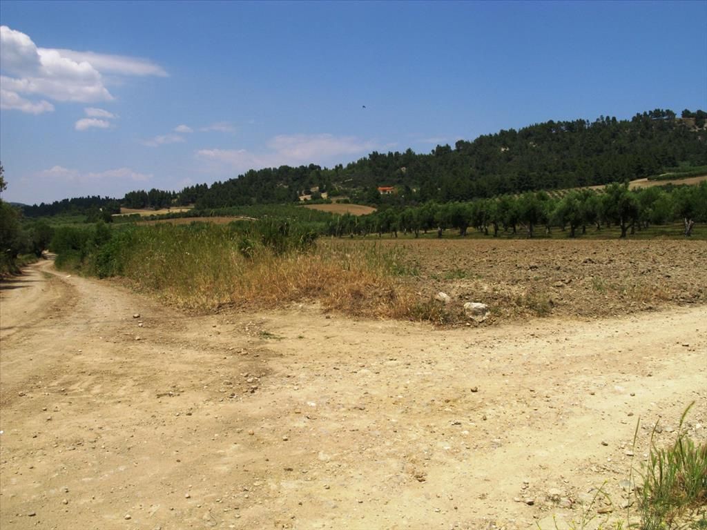 Land in Chalkidiki, Greece, 4 385 sq.m - picture 1