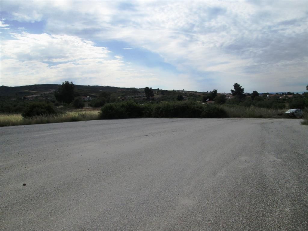 Land in Kassandra, Greece, 10 000 sq.m - picture 1