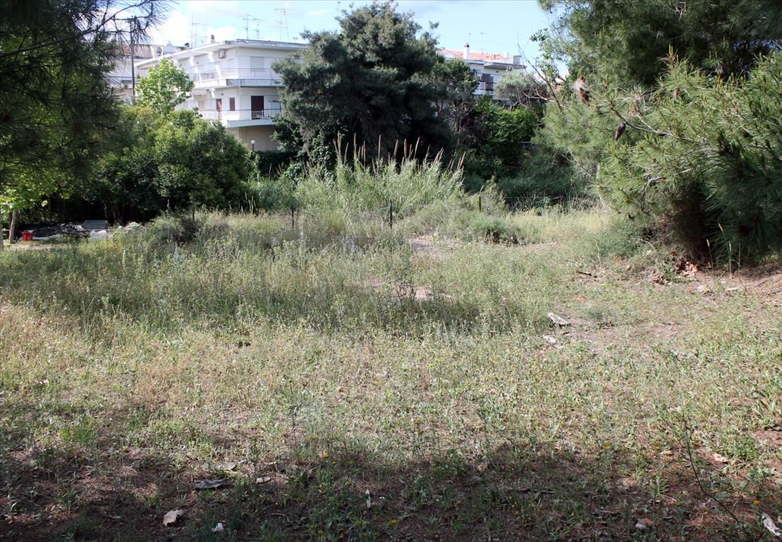 Land in Kassandra, Greece, 1 400 sq.m - picture 1