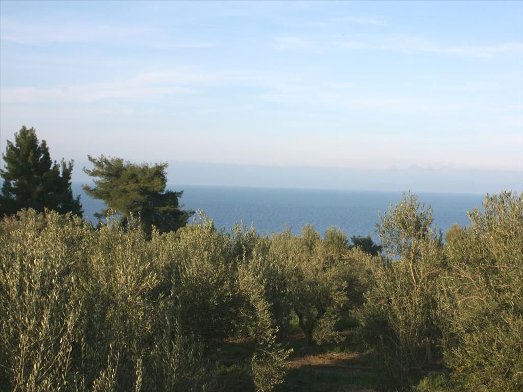 Land in Chalkidiki, Greece, 20 000 sq.m - picture 1
