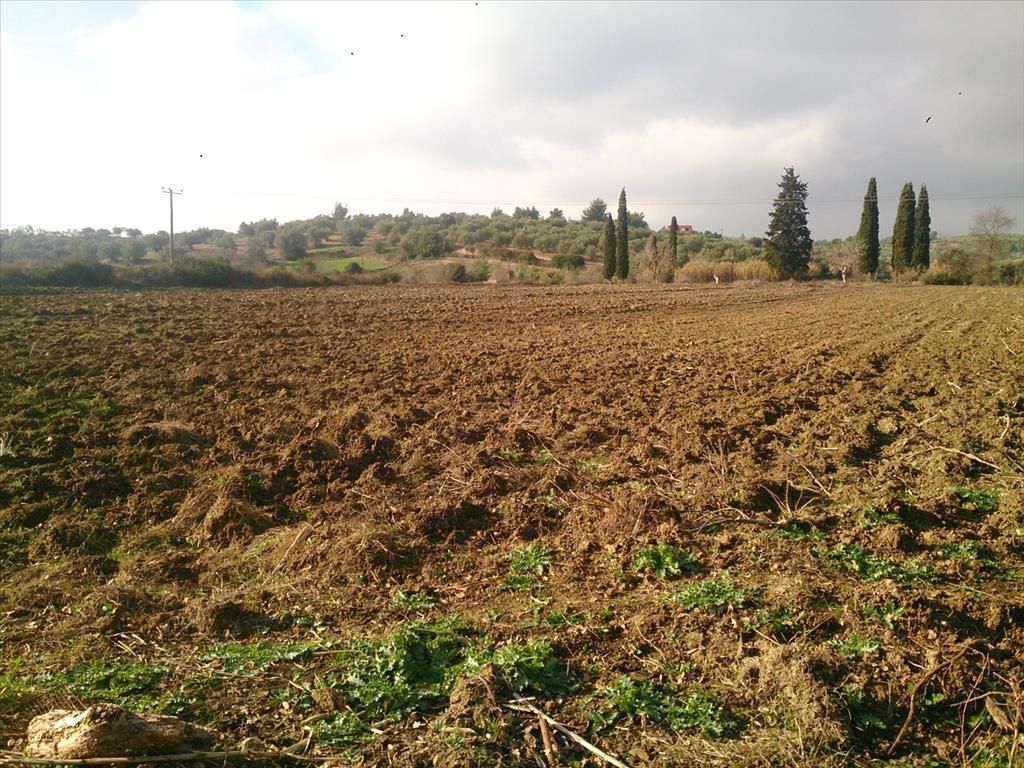 Land in Kassandra, Greece, 29 643 sq.m - picture 1