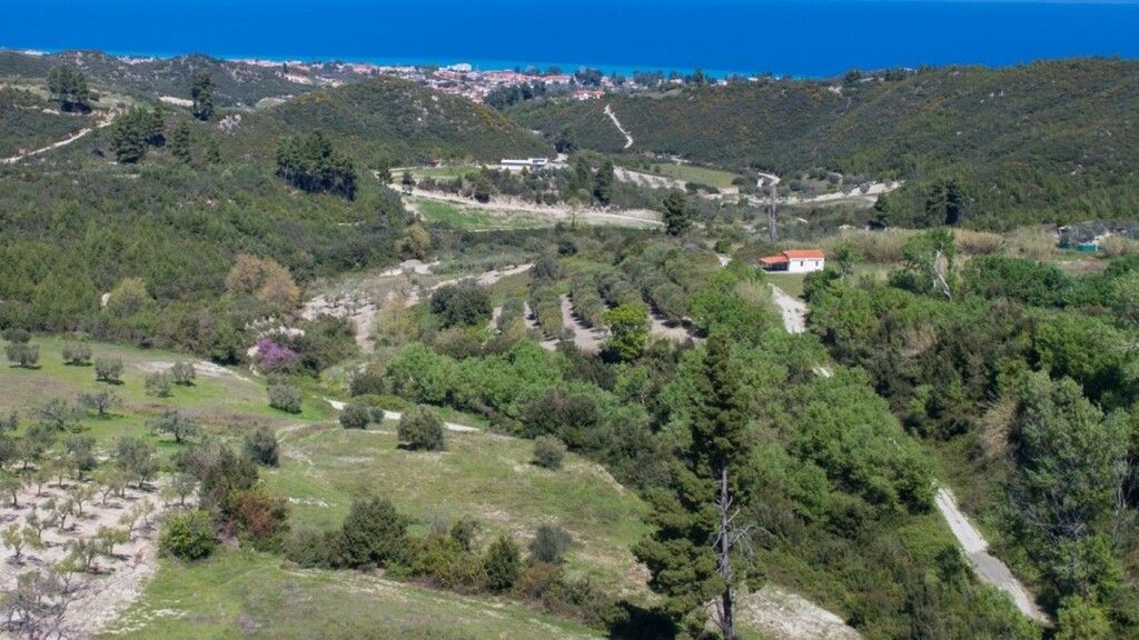 Land in Chalkidiki, Greece, 6 080 sq.m - picture 1
