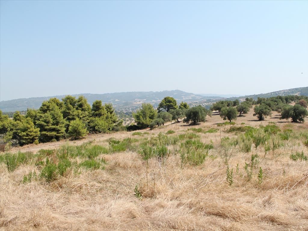 Land in Kassandra, Greece, 12 000 sq.m - picture 1