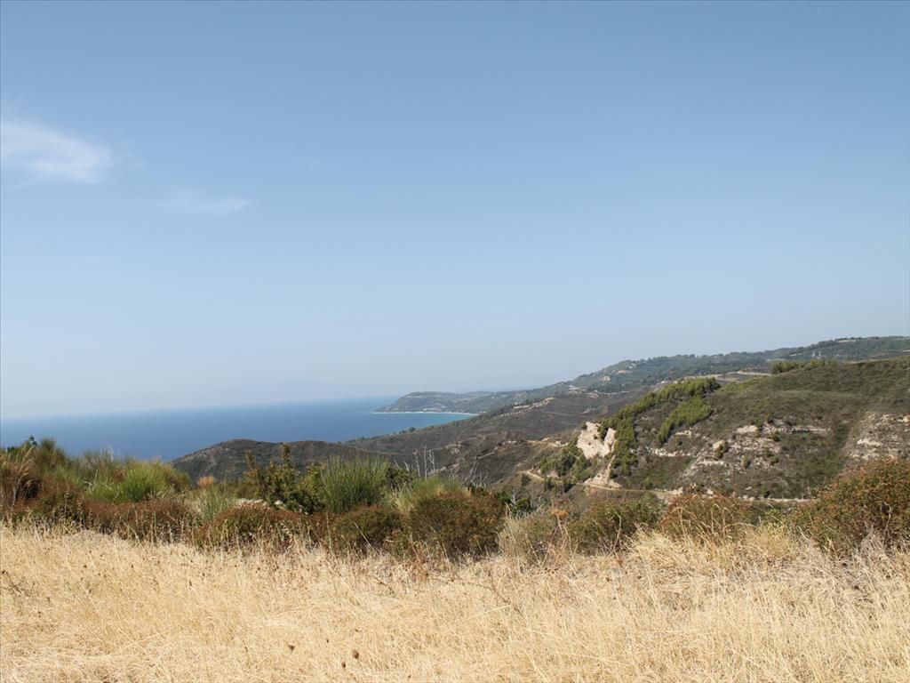 Land in Kassandra, Greece, 51 000 sq.m - picture 1