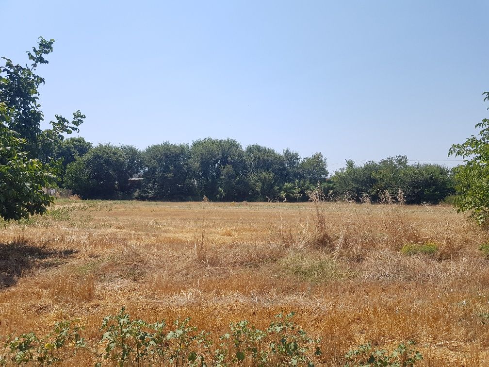 Land in Kassandra, Greece, 7 500 sq.m - picture 1