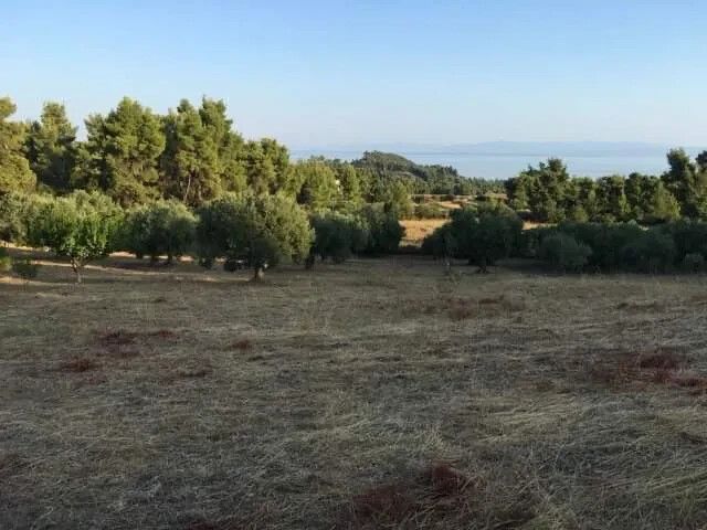 Land in Kassandra, Greece, 8 687 sq.m - picture 1