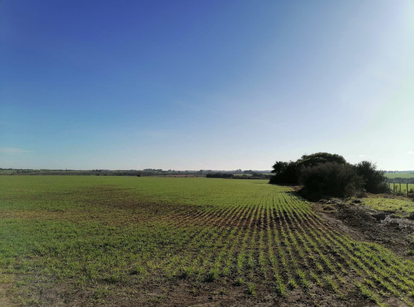 Terrain Departament San-Hose, Uruguay, 391 hectares - image 1