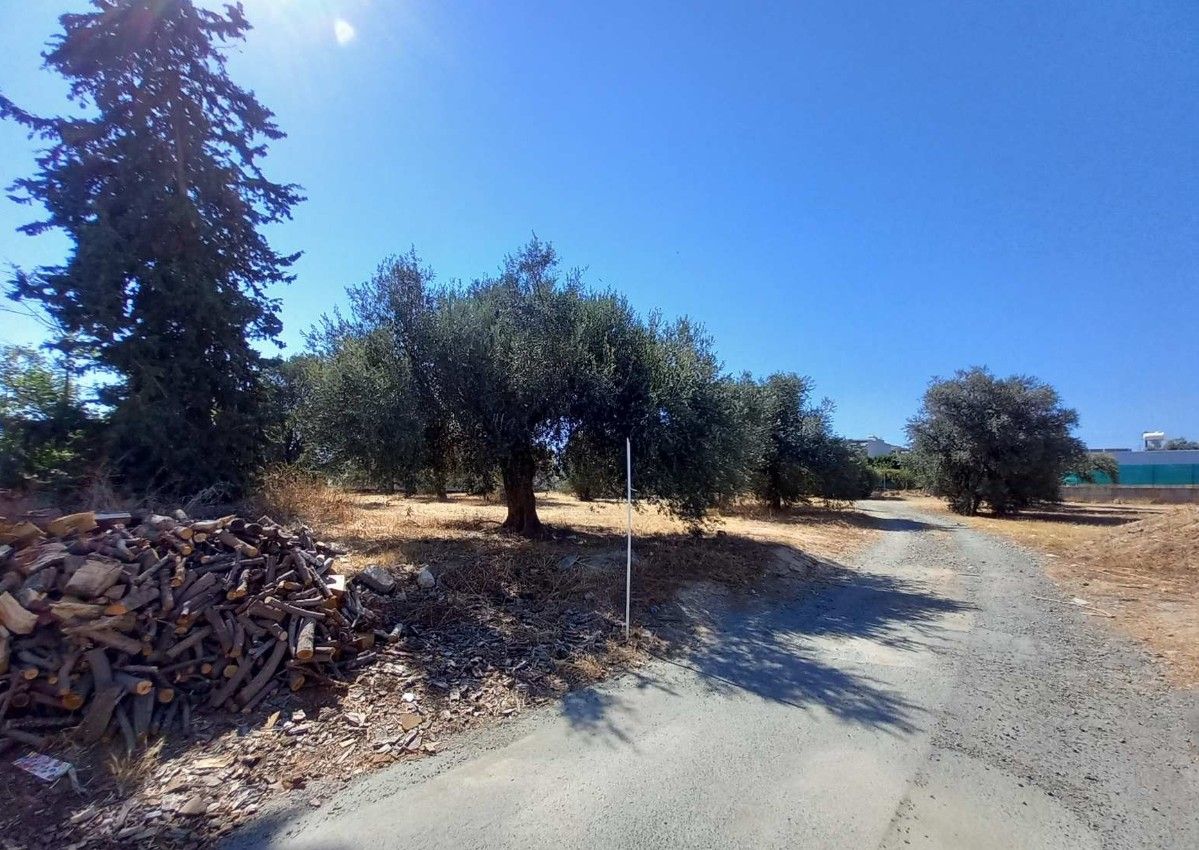 Land in Limassol, Cyprus, 1 004 sq.m - picture 1