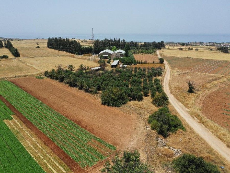 Land in Paphos, Cyprus, 8 130 sq.m - picture 1