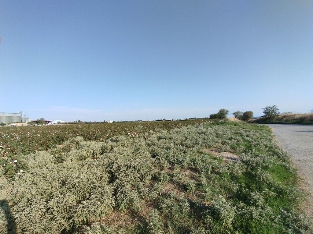 Land in Thessaloniki, Greece, 101 000 sq.m - picture 1