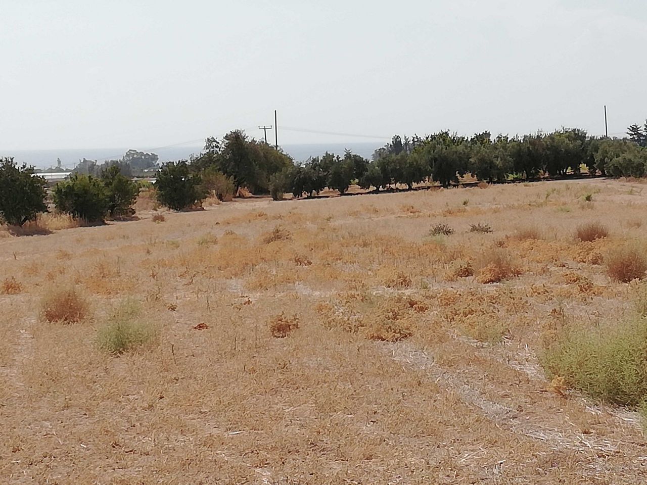 Land in Paphos, Cyprus, 13 400 sq.m - picture 1