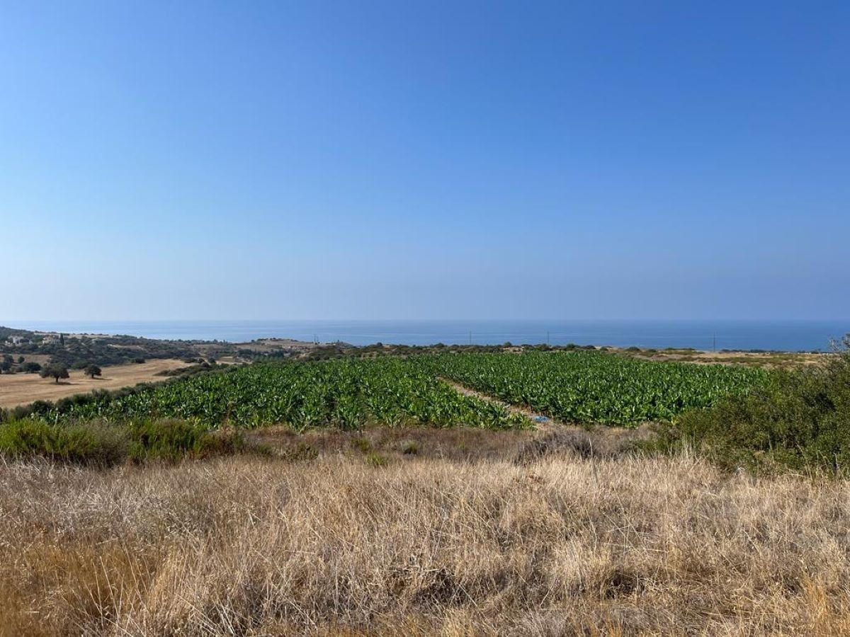 Land in Paphos, Cyprus, 103 346 sq.m - picture 1