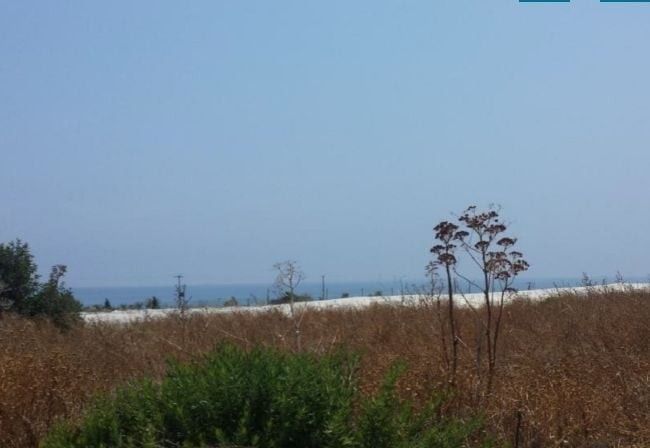 Land in Larnaca, Cyprus, 7 135 sq.m - picture 1