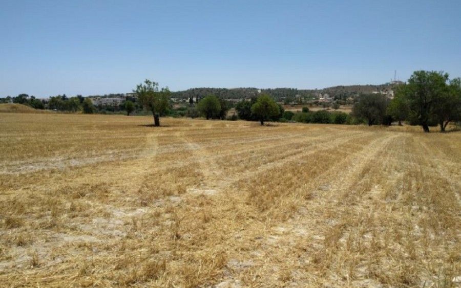 Land in Larnaca, Cyprus, 24 722 sq.m - picture 1